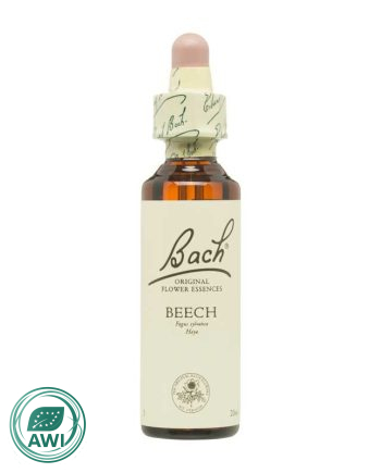 Flor nº 3 Haya (beech) 20ml Bach