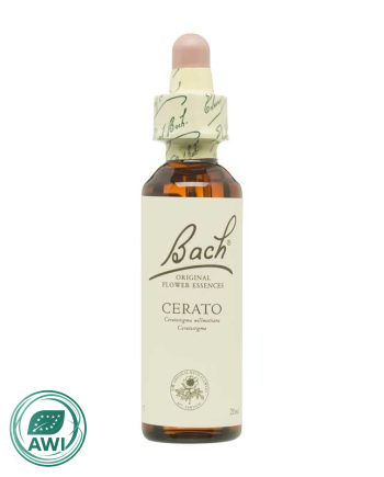 Flor nº 5 Ceratostigma (cerato) 20ml Bach