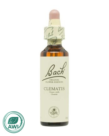 Flor nº 9 Clematide (clematis) 20ml Bach