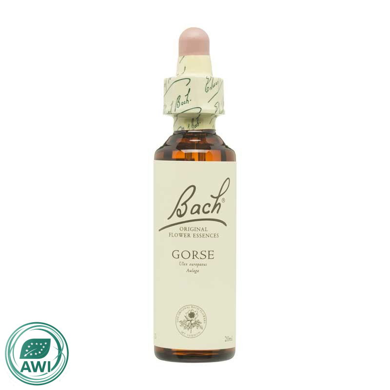 Flor nº 13 Aulaga (gorse) 20ml Bach