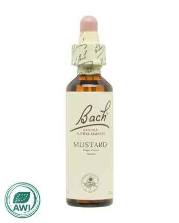 Flor nº 21 Mostaza (mustard) 20ml Bach