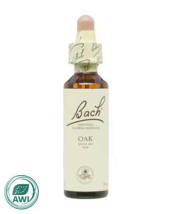Flor nº 22 Roble (oak) 20ml Bach