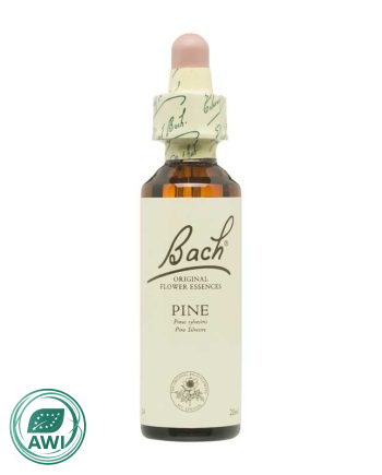 Flor nº 24 Pino silvestre (pine) 20ml Bach