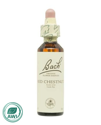 Flor nº 25 Castaño rojo (red chestnut) 20ml Bach