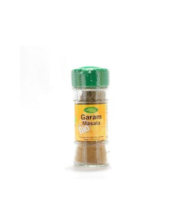 Garam Masala Bio 25g Especias Artemis