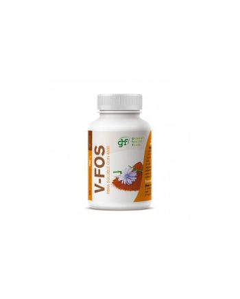 Vientre plano 600mg 100 comprimidos GHF