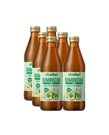 Kombucha Lima y Jengibre Bio 6x330ml Voelkel