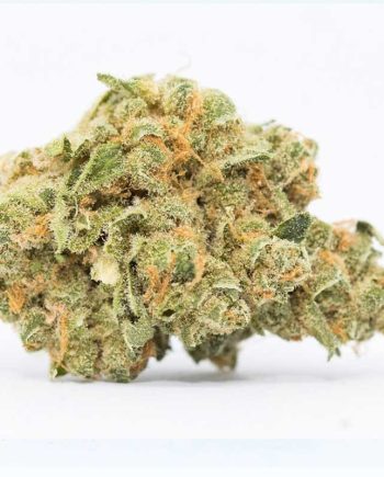 Flor de CBD Premium New York-Sour Diesel 2g Cannactiva