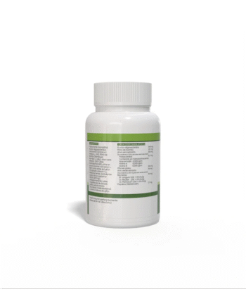 Aloe Digest Probiotico 1g 100 comprimidos Sotya
