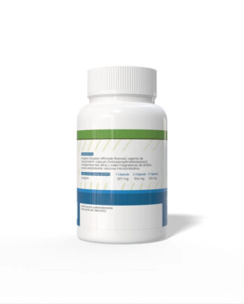 Jengibre 430mg 120 capsulas Sotya
